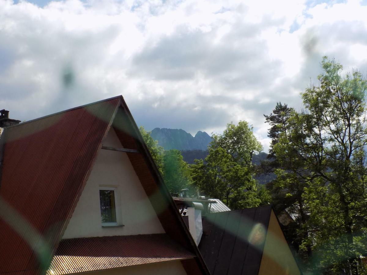Apartament Droga Na Bystre 9A Zakopane Bagian luar foto